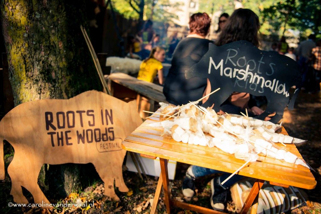 Programma herfstfestival Roots in the Woods