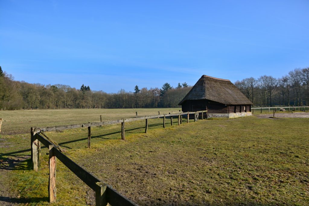 Herfst en historie in natuurgebied de Zandhegge