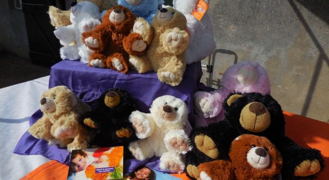 Knuffelberen verkoop voor KiKa in Gelre ziekenhuizen