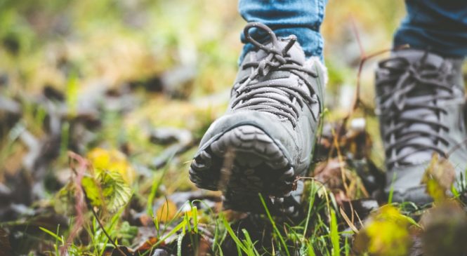 Lange dagwandeling over de Loenermark