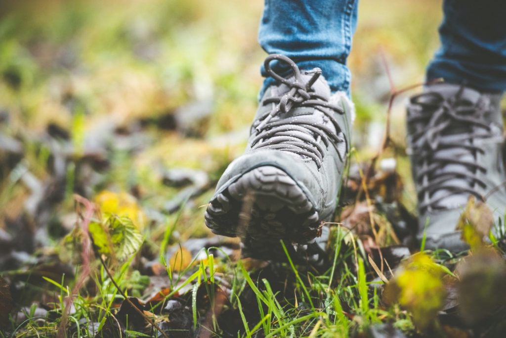 Lange dagwandeling over de Loenermark