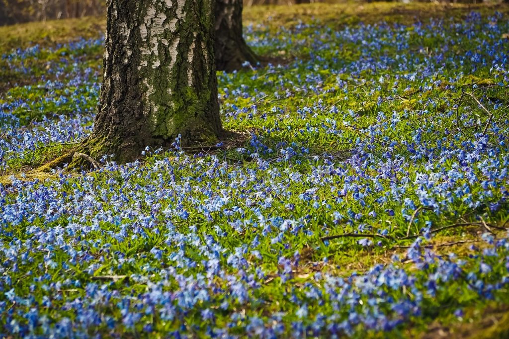 Meer kleur en fleur in de dorpen