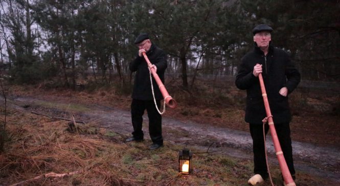 Winterzonnewende op de Leesterheide