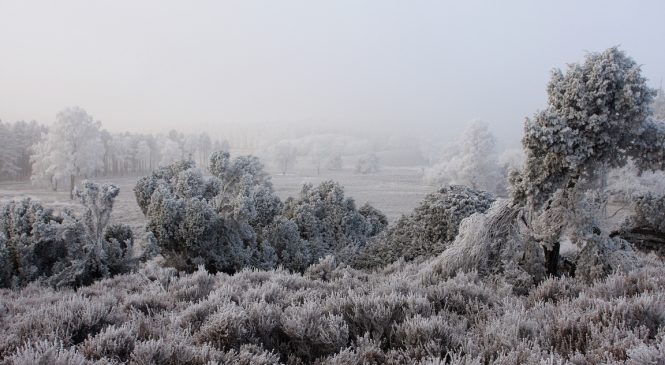 Wintersferen op de Loenermark