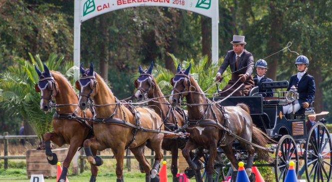 NK vierspannen in Beekbergen