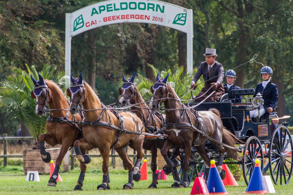 NK vierspannen in Beekbergen