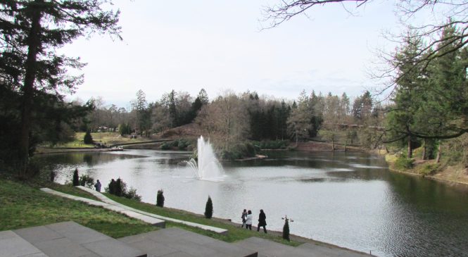 de “Berg & Bos Theehuiswandelingen”