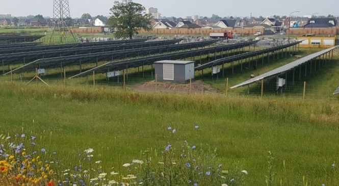 Een jaar echte Apeldoornse schone stroom