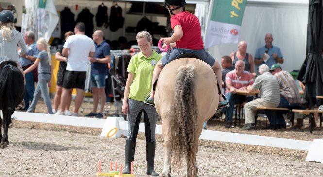 Nieuwe opzet Paardenspektakel Beekbergen