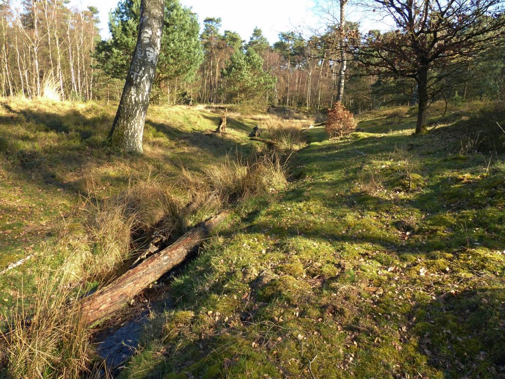 Historische wandeling door het Orderbos