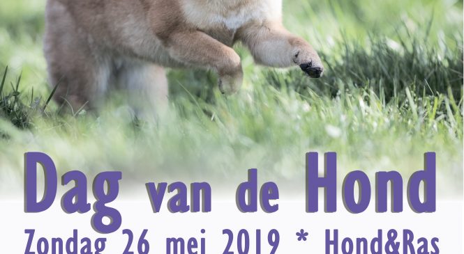 26 mei Dag van de Hond bij de AKC