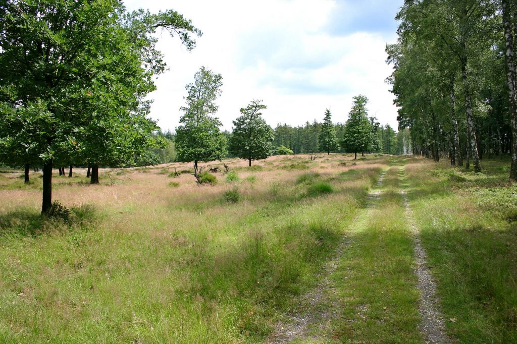 Lange wandeling over de Loenermark