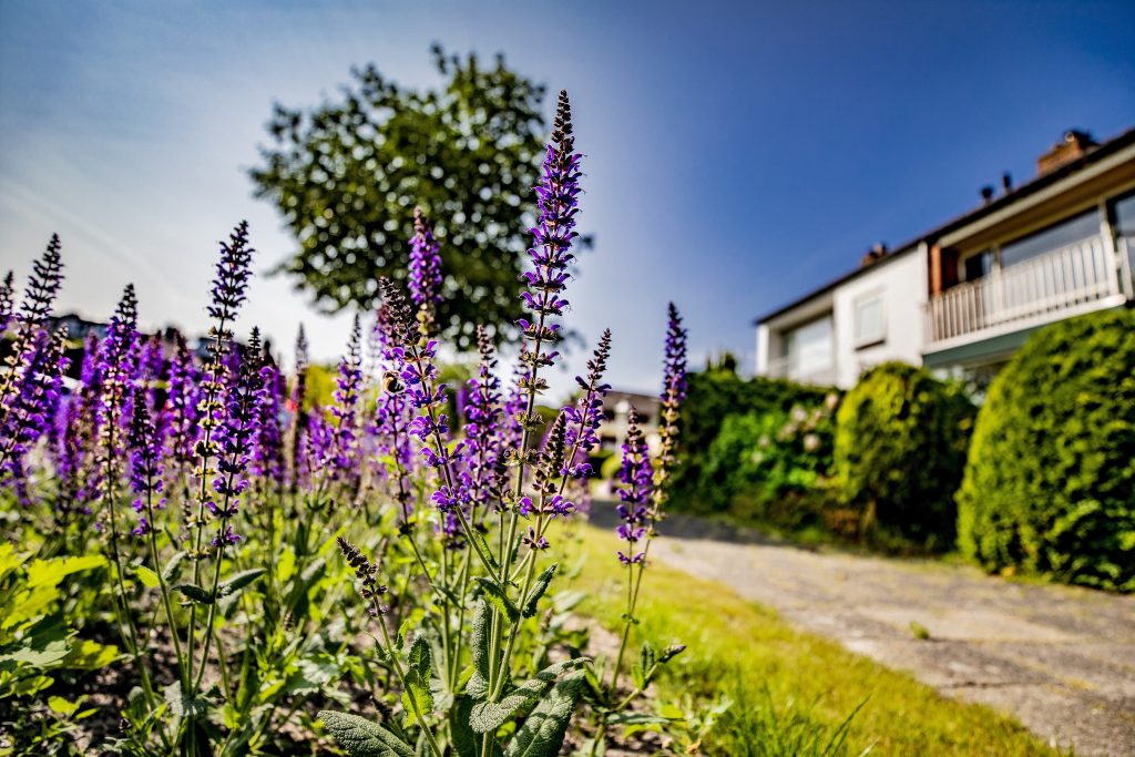 Groeninitiatief: samen doen in het groen