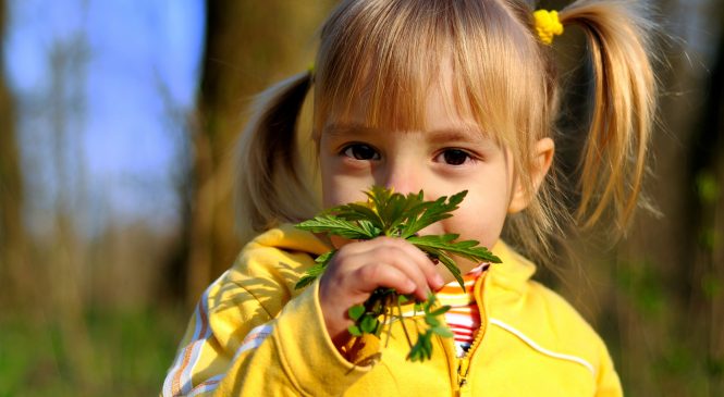 Kinderwandeling op de Loenermark