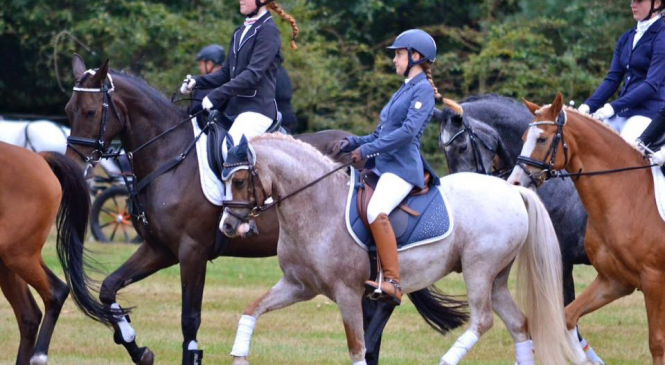 Concours Hippique op Paleis Het Loo