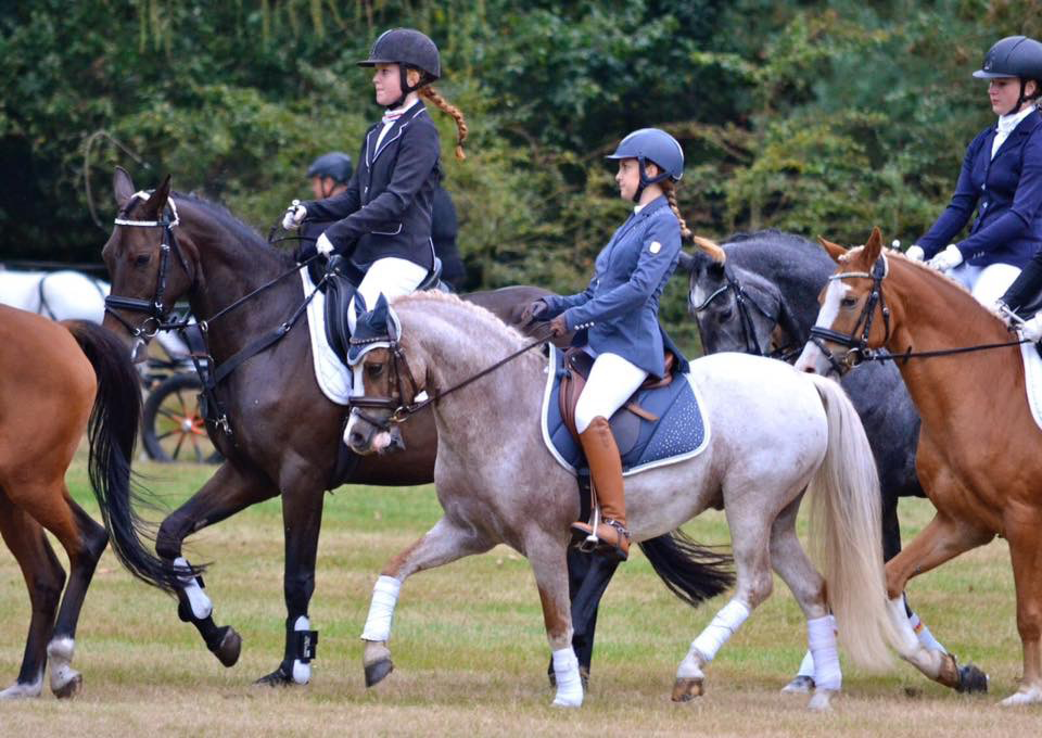 Concours Hippique op Paleis Het Loo