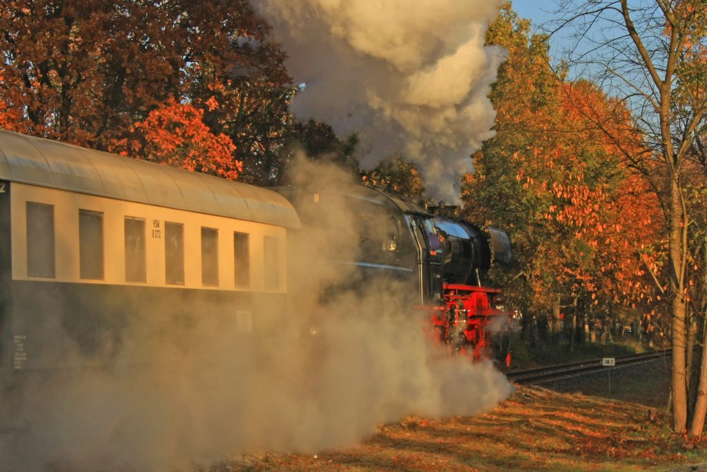 Bonte herfststoom op de Veluwe