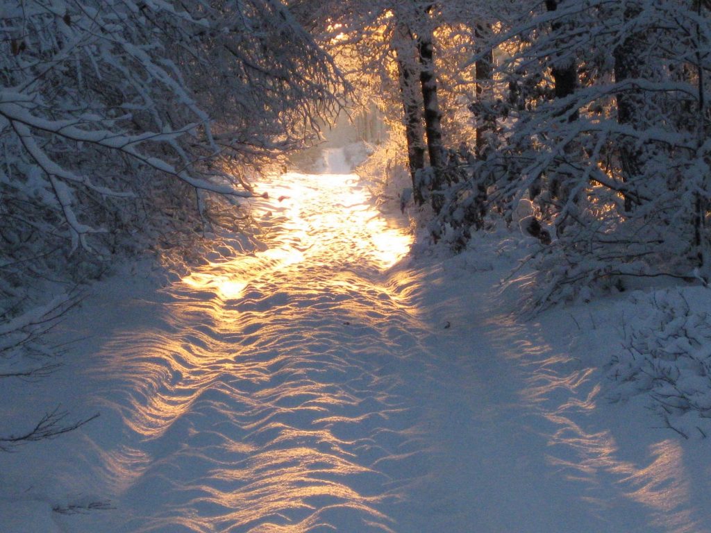 Winterwandeling Bruggelen