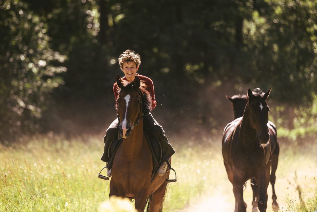 Boekverfilming Out stealing horses in Gigant