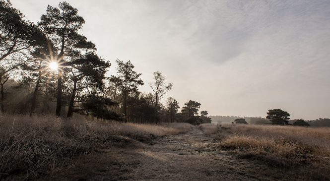 Excursie Loenermark ‘Verdwenen vaardigheden’