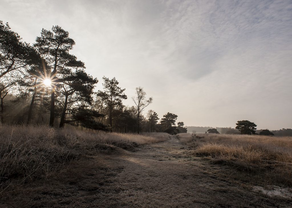 Excursie Loenermark ‘Verdwenen vaardigheden’