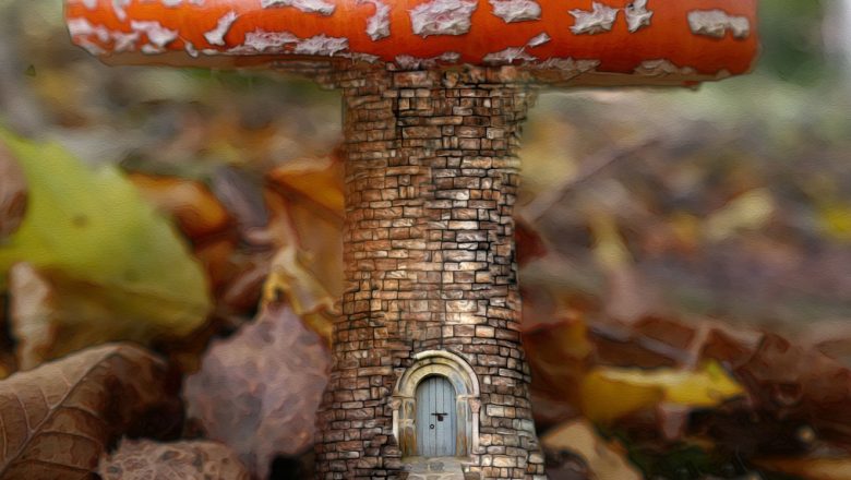 Voldoende belangstelling voor tiny houses