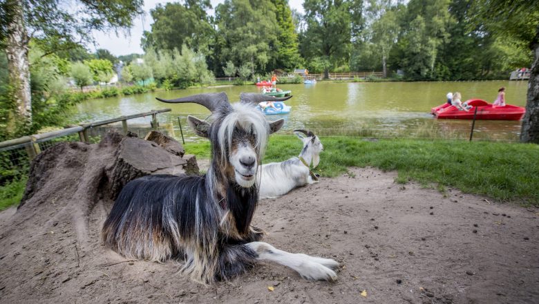 We kunnen weer naar Binky!