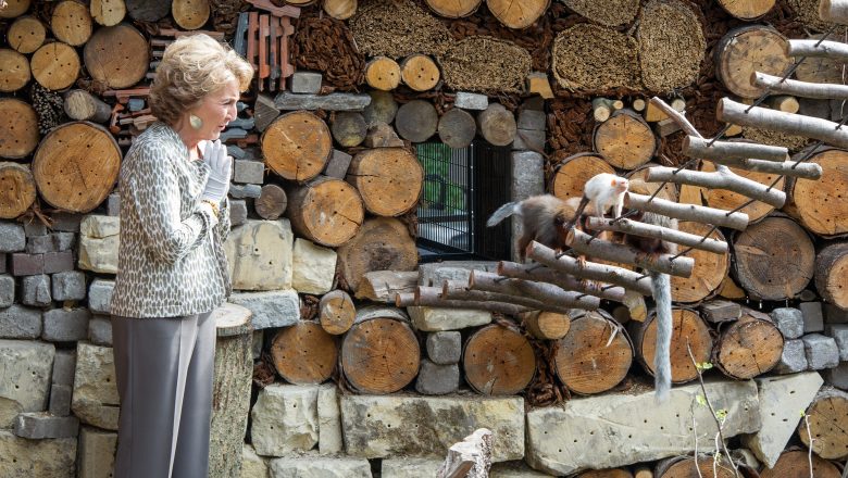 Voedselbos voor dwergapen in Apenheul geopend door Prinses Margriet