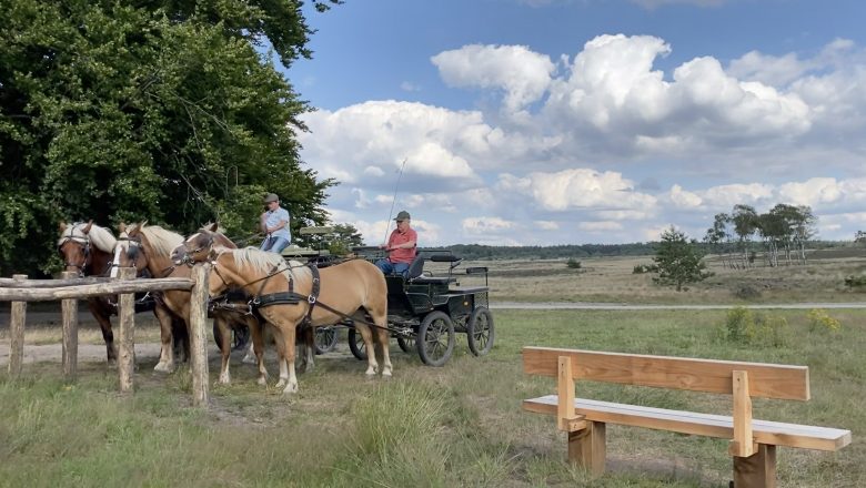 Rustpunten markeren project ‘upgrade hippische routes’