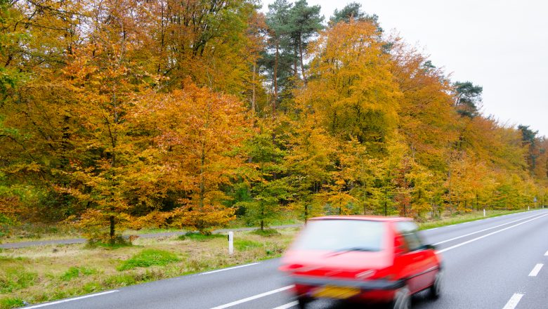 Ook in Gelderland grote verschillen in premie autoverzekering