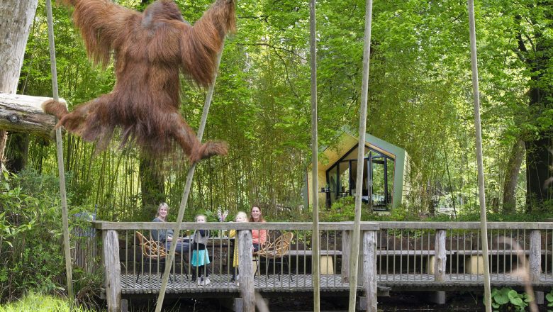 Apenheul viert 50 jaar bestaan met slapen bij de apen!