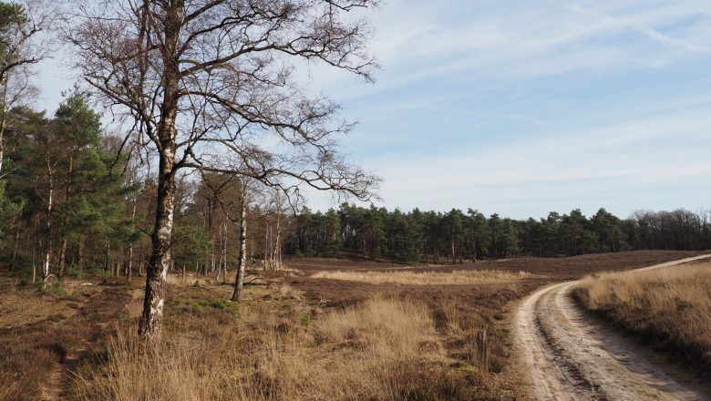 Wandelen op Steilhul, Loenermark