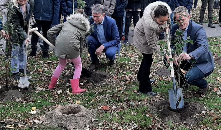 Apeldoornse scholieren planten honderden nieuwe bomen in Zuiderpark