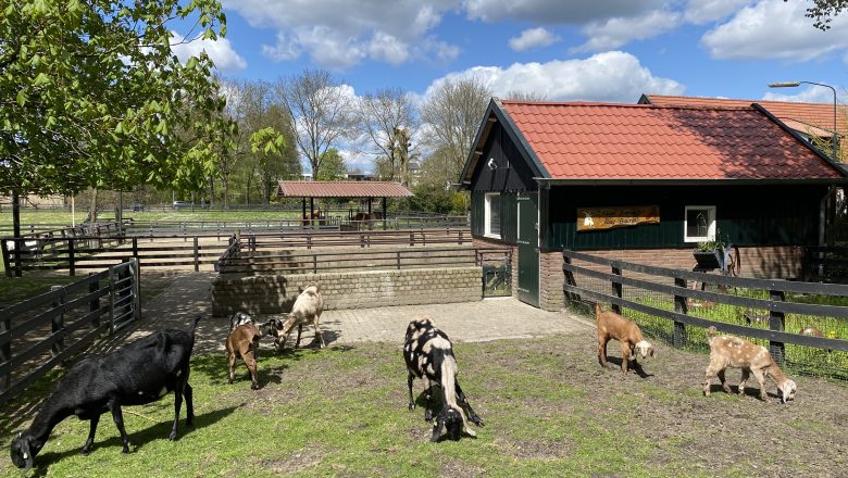 Een feestelijk uitreiking en opening bij Kinderboerderij Laag Buurlo