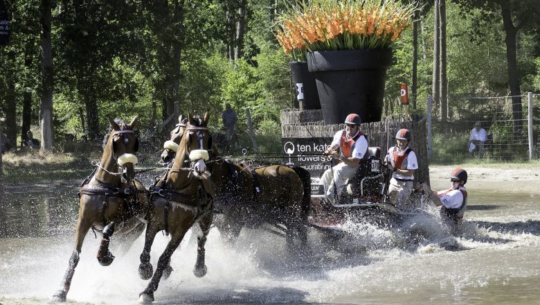 Paardenspektakel Beekbergen: topsport, paardenplezier en gezelligheid