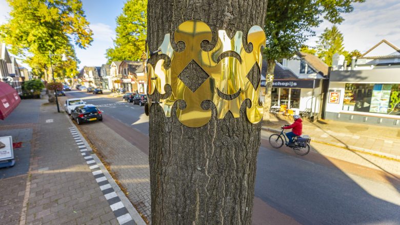 Koninginnelaan royaal aangekleed in kader van koninklijk jaar