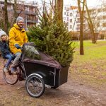 Koop een duurzame kerstboom