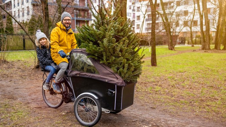 Koop een duurzame kerstboom