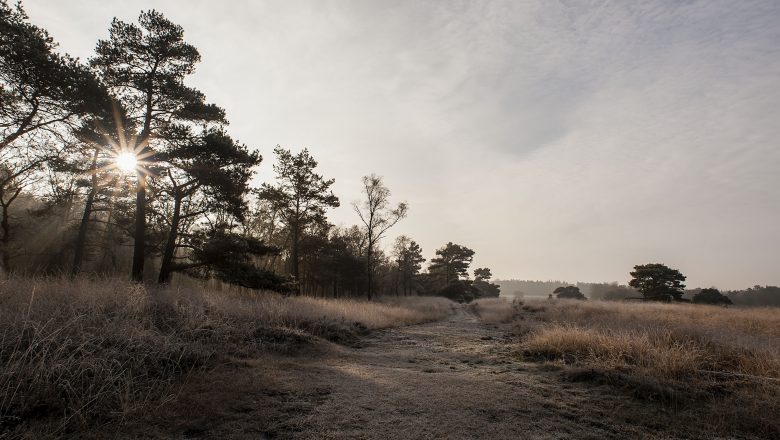 Lange winterwandeling Loenermark