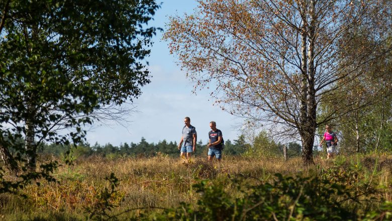 Herstart 5e Midden Veluwe wandeltocht