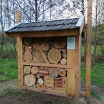 Insecten, van harte welkom in Wenum Wiesel !
