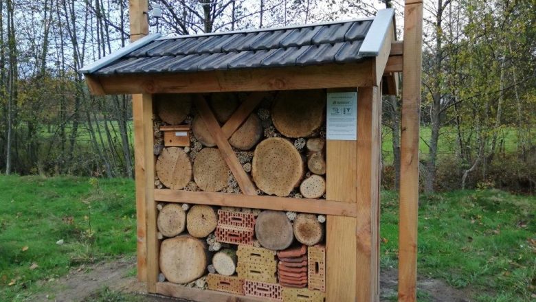 Insecten, van harte welkom in Wenum Wiesel !