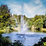 Royale boomkunst verbindt cultuur en natuur in Stadspark Berg & Bos