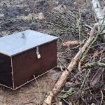Gemeente biedt woonplek aan steenmarters