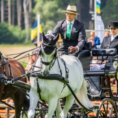 Sterk deelnemersveld in Beekbergen bij het Paardenspektakel