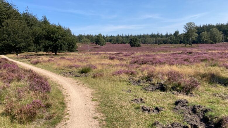 Blote voeten wandeling op de Loenermark