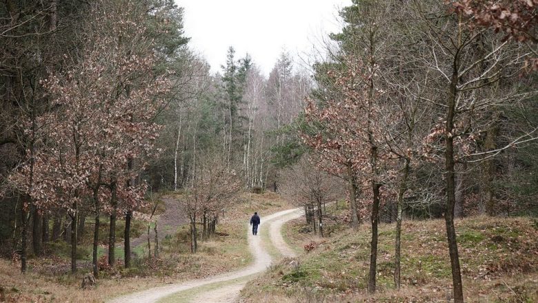 6e Midden Veluwe wandeltocht