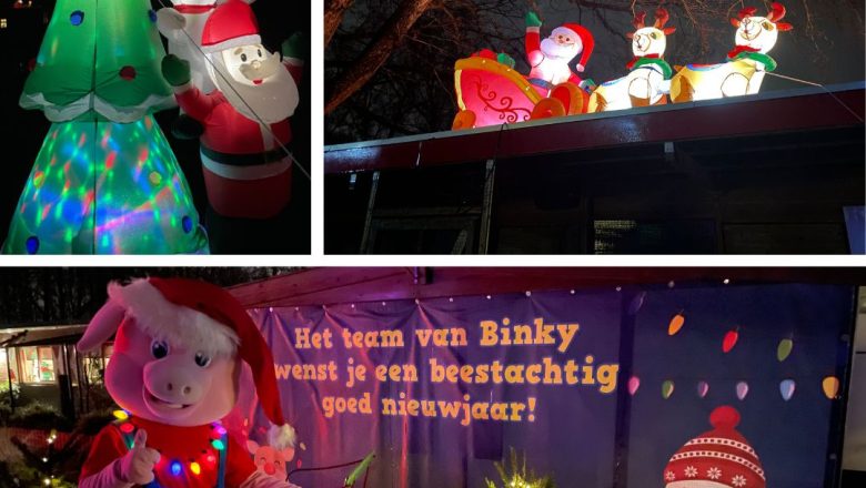 Binky’s Lichtjesfeest: Een magisch uitje voor het hele gezin!