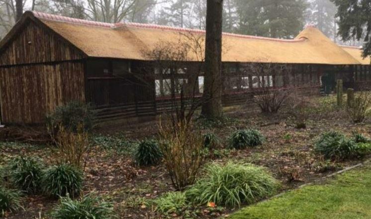 Nieuwe tentoonstelling in Theehuis Berg en Bos