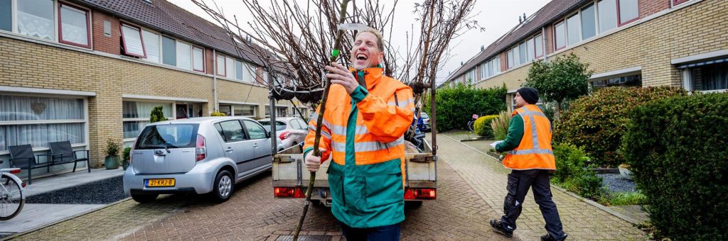 Apeldoorn deelt gratis bomen uit met actie Boompje Erbij